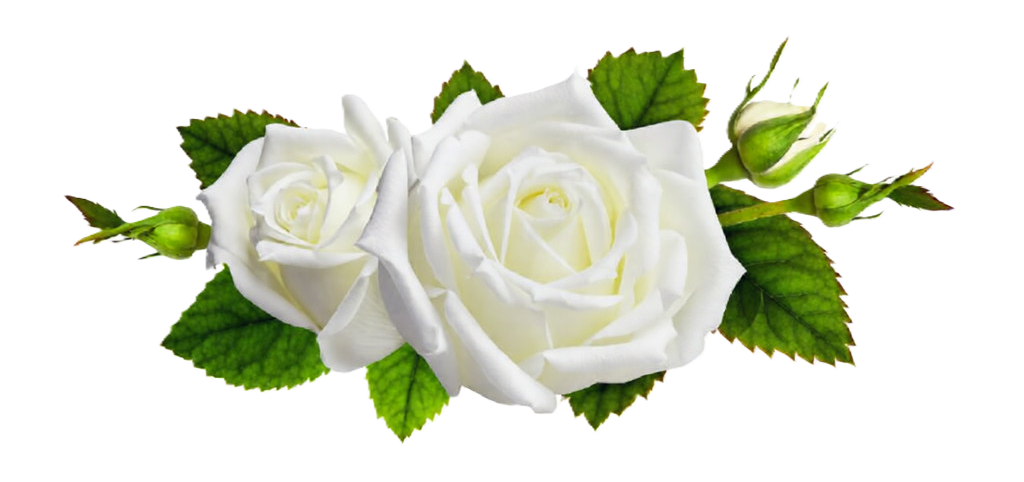 istockphoto 1181262870 1024x1024 (1) 63b6e8e3 0ea0 48da a9d0 3fd7fd6db601 istockphoto 1181262870 1024x1024 (1) 63b6e8e3 0ea0 48da a9d0 3fd7fd6db601